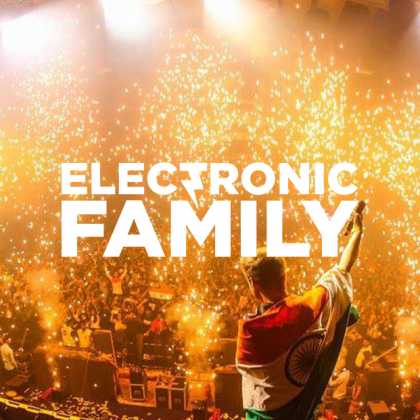Electronic Family 2017