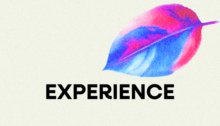 Experience Header