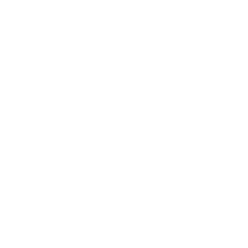 A Day at the Park Festival